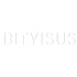 Bitvisus -Professional Audio and Video Hardware Manufacturer -Bitvisus ...